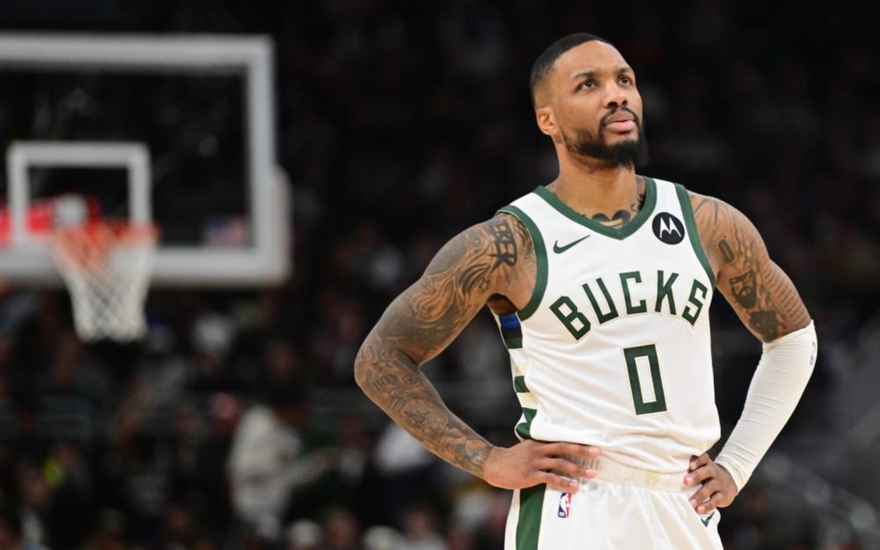 仍贡献组织 仍贡献组织